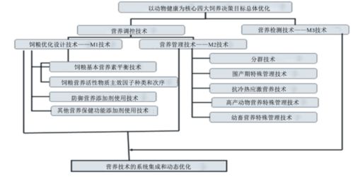 構(gòu)建動物健康營養(yǎng)體系 學科戰(zhàn)略突破與應用新篇章